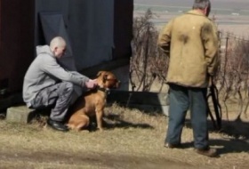 zdroj: archiv Metropolu