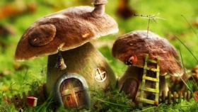 zdroj: archiv Metropolu