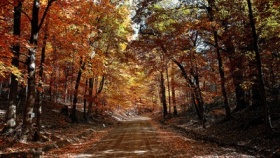 zdroj: archiv Metropolu