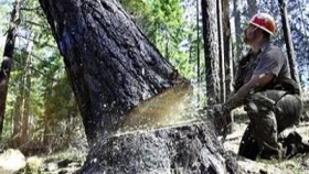 zdroj: archiv Metropolu