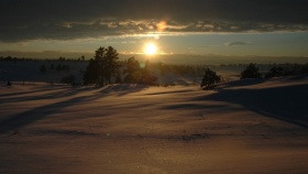zdroj: archiv Metropolu