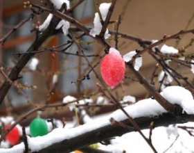 Kliknutím zvětšíte obrázek