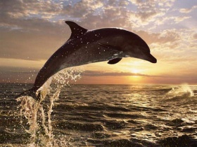 zdroj: archiv Metropolu