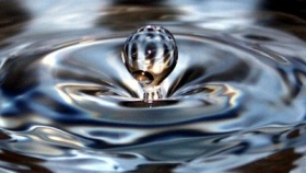 zdroj: archiv Metropolu