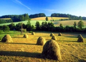 Kliknutím zvětšíte obrázek