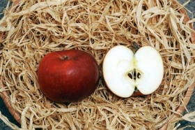 Kliknutím zvětšíte obrázek