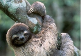 zdroj: archiv Metropolu