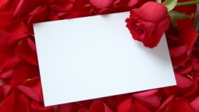 zdroj: archiv Metropolu