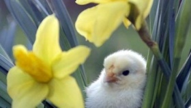 zdroj: archiv Metropolu