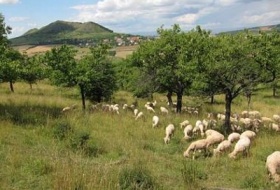 zdroj: litomericky.denik.cz zdroj: litomericky.denik.cz