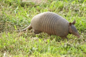 zdroj: klubzviratloucnalom.estranky.cz