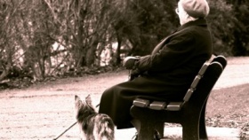 zdroj: archiv Metropolu