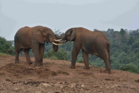 zdroj: archiv Metropolu