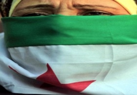 zdroj: archiv Metropolu