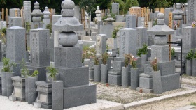 zdroj: archiv Metropolu