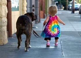 zdroj: archiv Metropolu