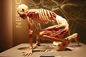 zdroj: sloveniatimes.com