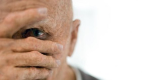 zdroj: archiv Metropolu