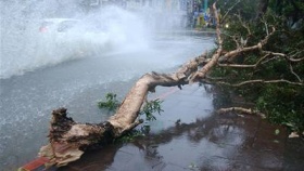 zdroj: archiv Metropolu