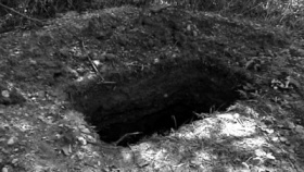 zdroj: archiv Metropolu