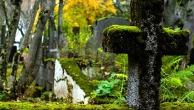 zdroj: archiv Metropolu