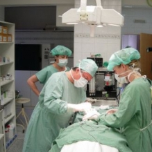 Kliknutím zvětšíte obrázek