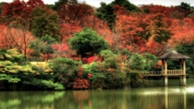 zdroj: archiv Metropolu