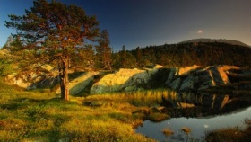 zdroj: archiv Metropolu