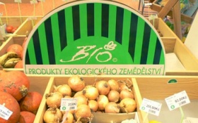 zdroj: archiv Metropolu