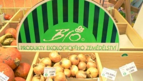 zdroj: archiv Metropolu zdroj: archiv Metropolu