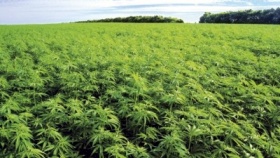 zdroj: archiv Metropolu