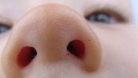 zdroj: archiv Metropolu