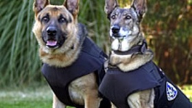 zdroj: archiv Metropolu