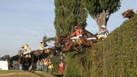 zdroj: chronofhorse.com zdroj: chronofhorse.com