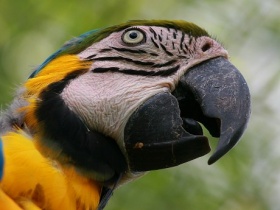 zdroj: archiv Metropolu