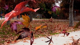 zdroj: archiv Metropolu