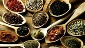 zdroj: archiv Metropolu