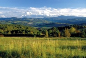 zdroj: archiv Metropolu zdroj: archiv Metropolu