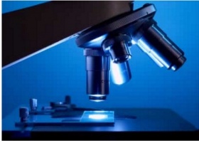 zdroj: archiv Metropolu