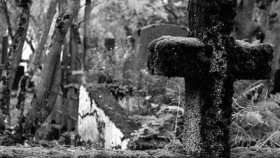 zdroj: archiv Metropolu