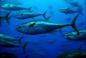 zdroj: camping-bourgogne.com