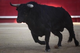 zdroj: corraleja-colombia.blogspot.com