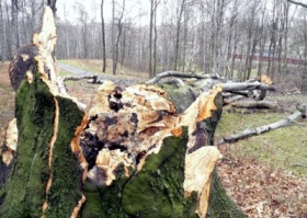 zdroj: archiv Metropolu