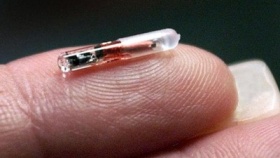 zdroj: archiv Metropolu