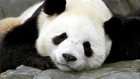 zdroj: archiv Metropolu