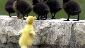 zdroj: archiv Metropolu