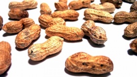 zdroj: archiv Metropolu