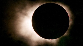 zdroj: archiv Metropolu