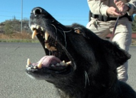 zdroj: archiv Metropolu