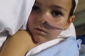 zdroj: telegraph.co.uk